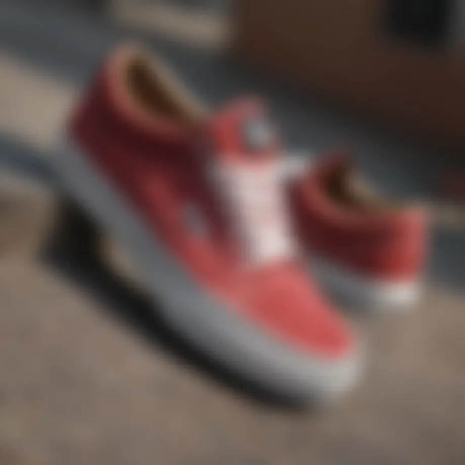 Vans classic skate shoes on a skateboard